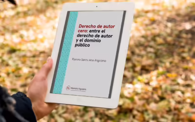 Derecho de autor cero: entre el derecho de autor y el dominio público